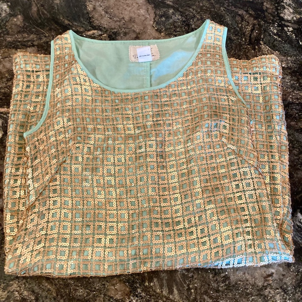 Anthropologie | Tabitha Golden Pane Shift Sequin Grid Overlay Mint Green Sz 6 - Picture 5 of 16